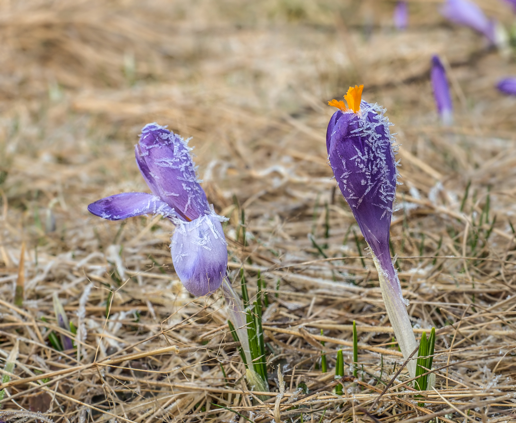 Kliknij obrazek, aby uzyskać większą wersję

Nazwa:	Str2Olek-6.JPG
Wyświetleń:	303
Rozmiar:	630,1 KB
ID:	170733