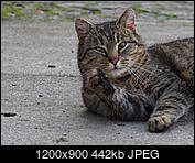 Kliknij obrazek, aby uzyskać większą wersję

Nazwa:	P4055229-1.JPG
Wyświetleń:	55
Rozmiar:	442,0 KB
ID:	170735