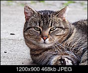 Kliknij obrazek, aby uzyskać większą wersję

Nazwa:	P4055248-1.JPG
Wyświetleń:	51
Rozmiar:	468,4 KB
ID:	170736