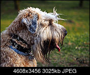 Kliknij obrazek, aby uzyskać większą wersję

Nazwa:	m.jpg
Wyświetleń:	85
Rozmiar:	2,95 MB
ID:	170753