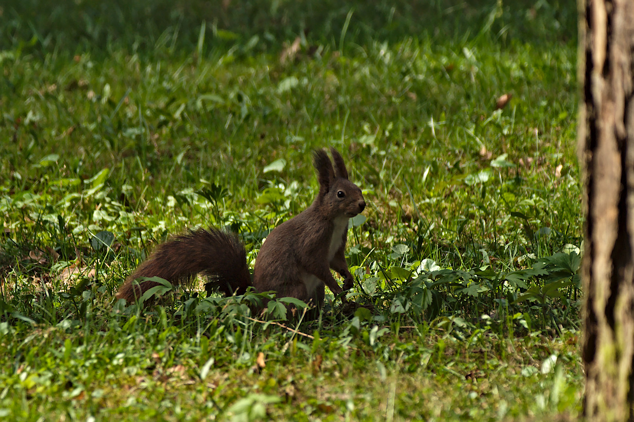 Kliknij obrazek, aby uzyskać większą wersję

Nazwa:	P4063134bp.jpg
Wyświetleń:	213
Rozmiar:	462,8 KB
ID:	170764