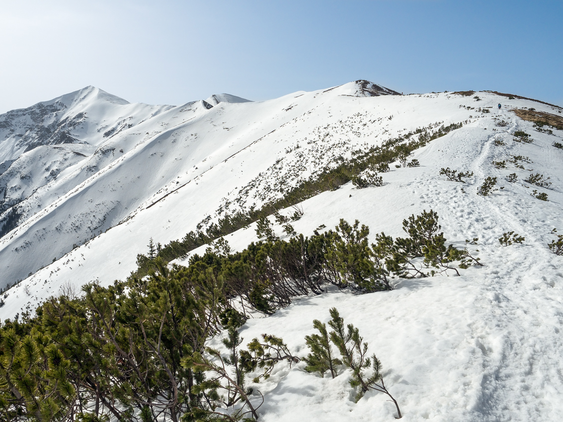 Kliknij obrazek, aby uzyskać większą wersję

Nazwa:	Str4Olek-1.JPG
Wyświetleń:	289
Rozmiar:	855,2 KB
ID:	170770