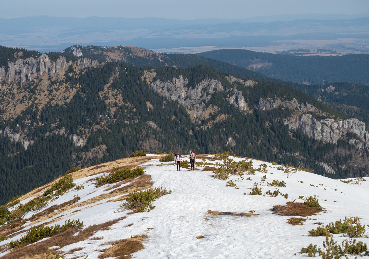 Kliknij obrazek, aby uzyskać większą wersję

Nazwa:	Str4Olek-2.JPG
Wyświetleń:	303
Rozmiar:	955,6 KB
ID:	170771