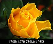 Kliknij obrazek, aby uzyskać większą wersję

Nazwa:	P3090013.JPG
Wyświetleń:	165
Rozmiar:	789,3 KB
ID:	170802