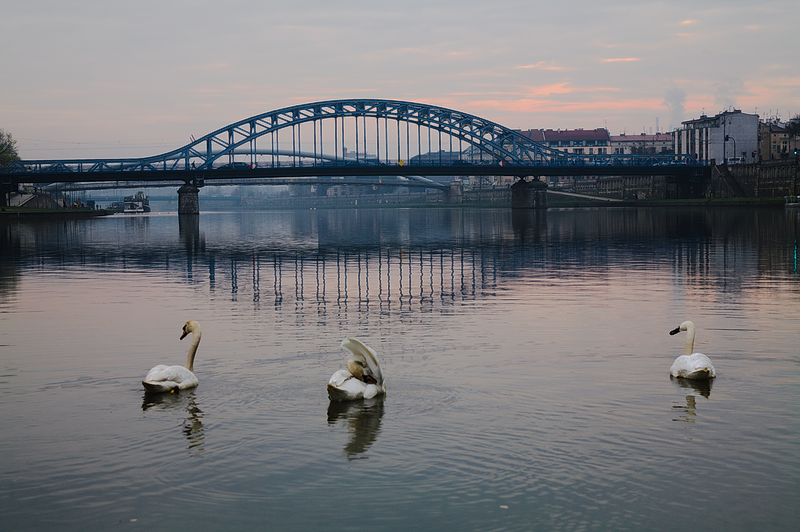 Kliknij obrazek, aby uzyskać większą wersję

Nazwa:	po_zorza.png
Wyświetleń:	83
Rozmiar:	631,4 KB
ID:	170845