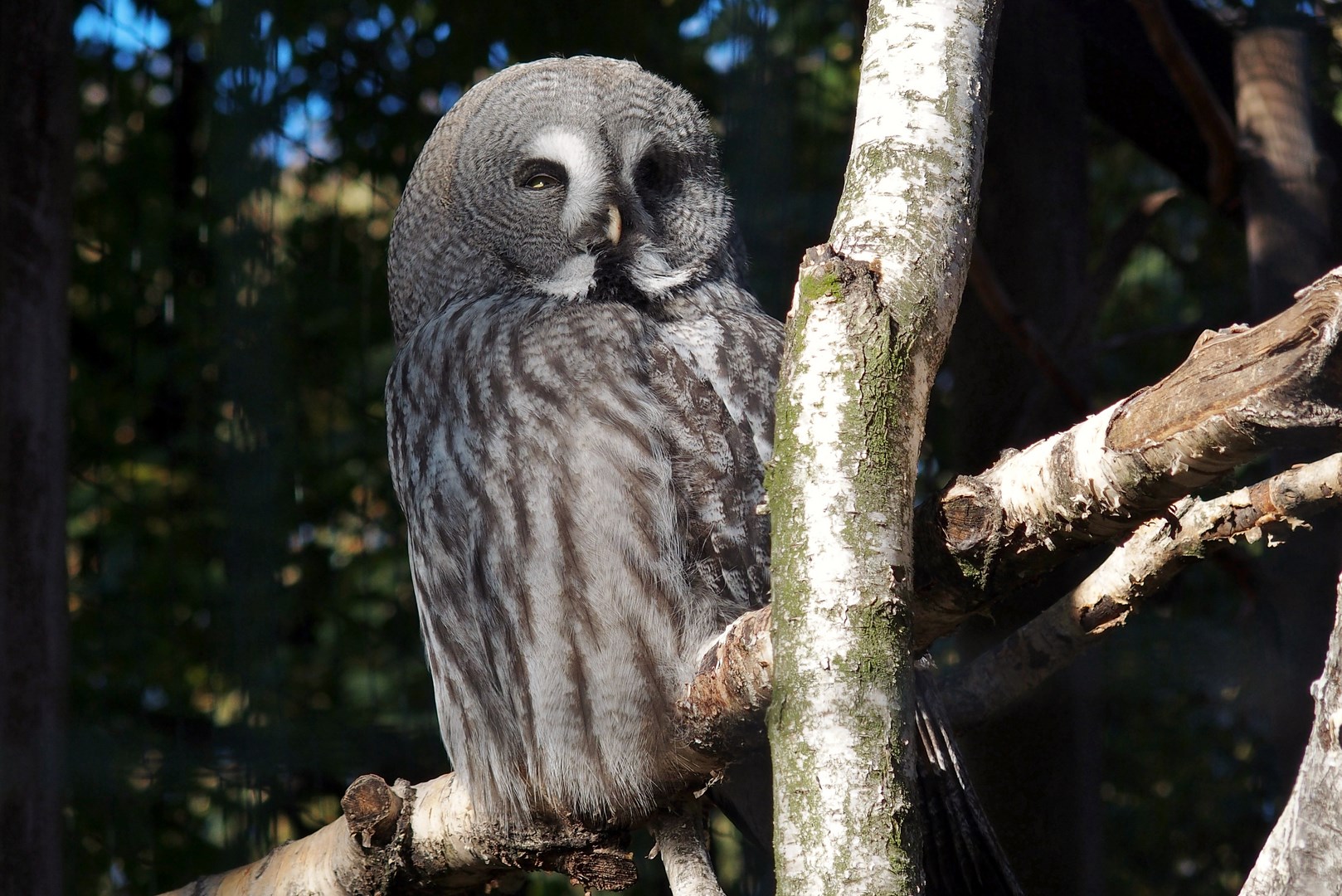 Kliknij obrazek, aby uzyskać większą wersję

Nazwa:	PA100213.JPG
Wyświetleń:	488
Rozmiar:	434,4 KB
ID:	170920