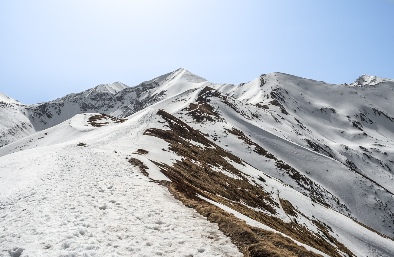 Kliknij obrazek, aby uzyskać większą wersję

Nazwa:	Str5Ol-1.JPG
Wyświetleń:	1859
Rozmiar:	780,0 KB
ID:	170938