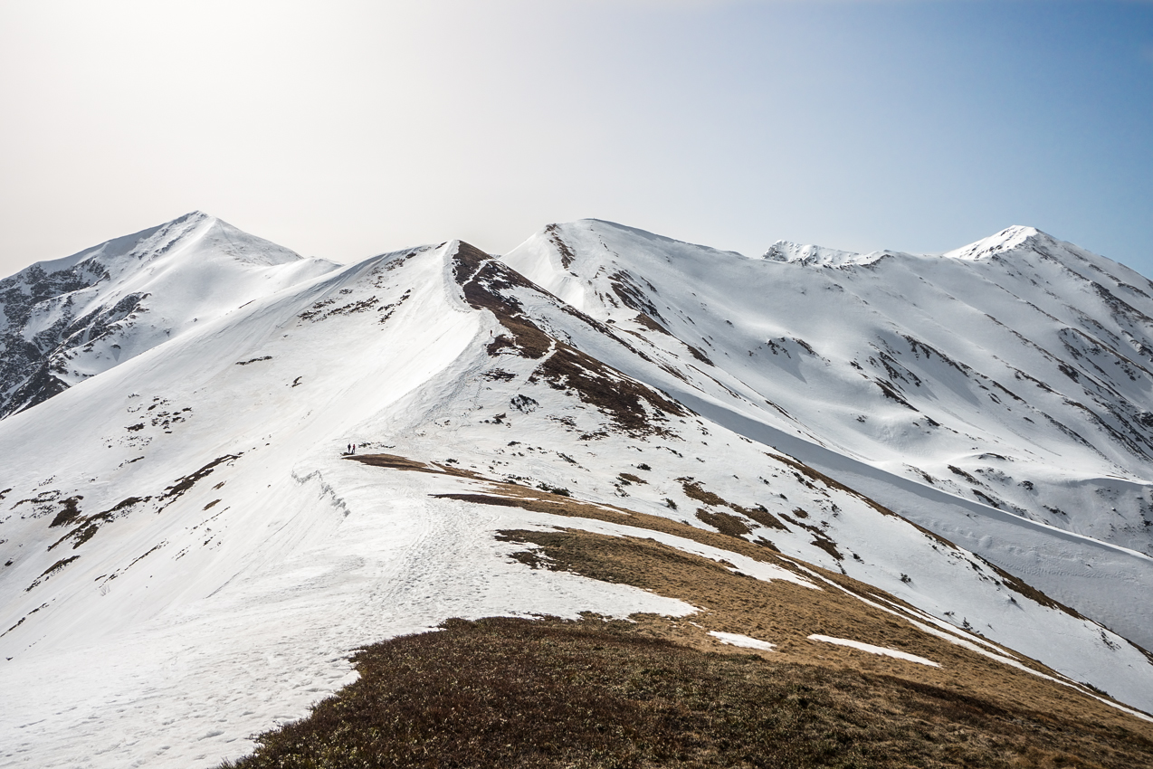 Kliknij obrazek, aby uzyskać większą wersję

Nazwa:	Str5Ol-3.JPG
Wyświetleń:	1807
Rozmiar:	824,3 KB
ID:	170940