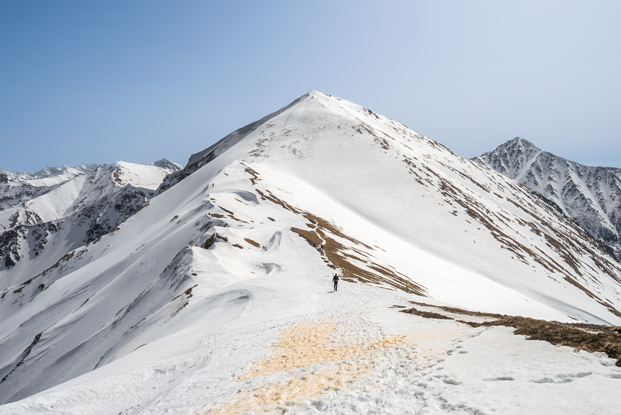Kliknij obrazek, aby uzyskać większą wersję

Nazwa:	Str6Olek-1.JPG
Wyświetleń:	1848
Rozmiar:	727,2 KB
ID:	170969