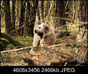 Kliknij obrazek, aby uzyskać większą wersję

Nazwa:	3.jpg
Wyświetleń:	180
Rozmiar:	2,41 MB
ID:	171095