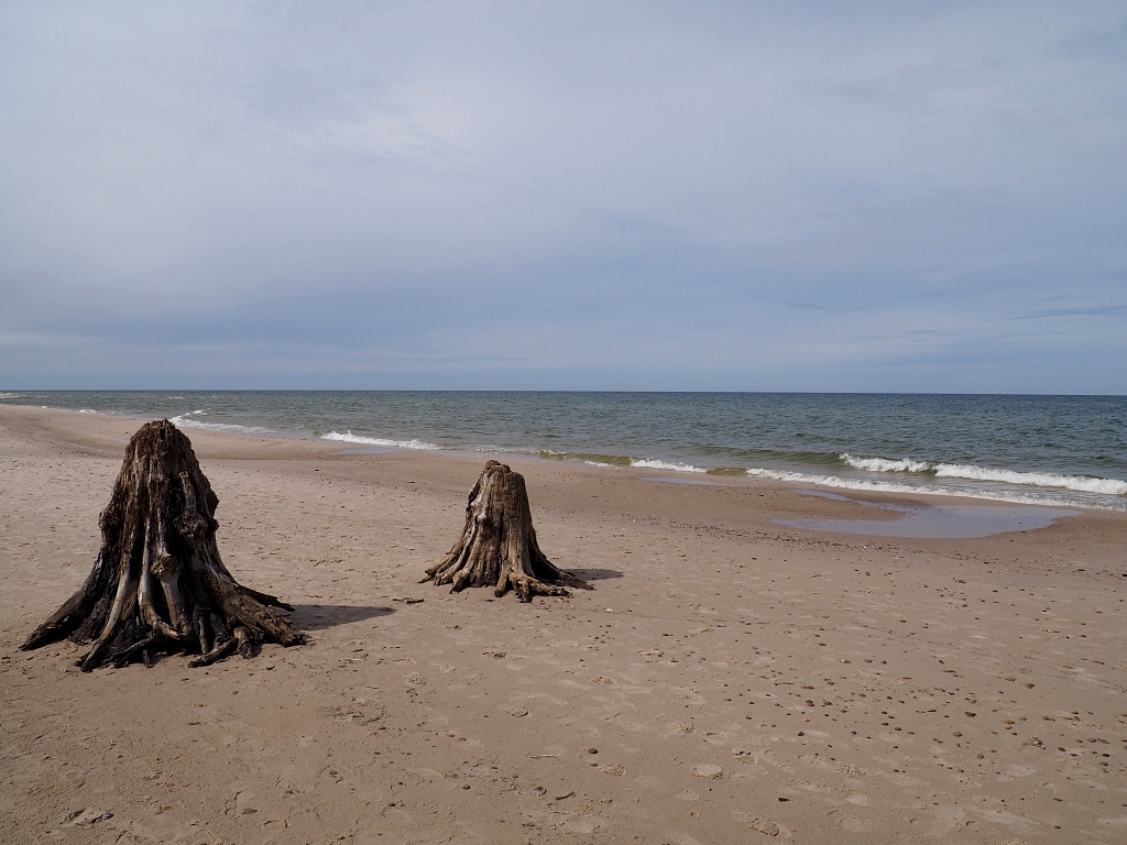 Kliknij obrazek, aby uzyskać większą wersję

Nazwa:	272.JPG
Wyświetleń:	251
Rozmiar:	563,9 KB
ID:	171170