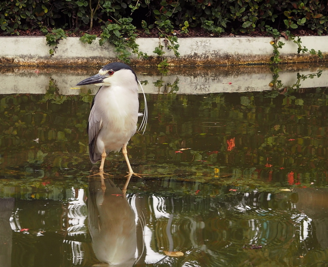 Kliknij obrazek, aby uzyskać większą wersję

Nazwa:	Karaiby...UC.jpg
Wyświetleń:	187
Rozmiar:	488,8 KB
ID:	171457