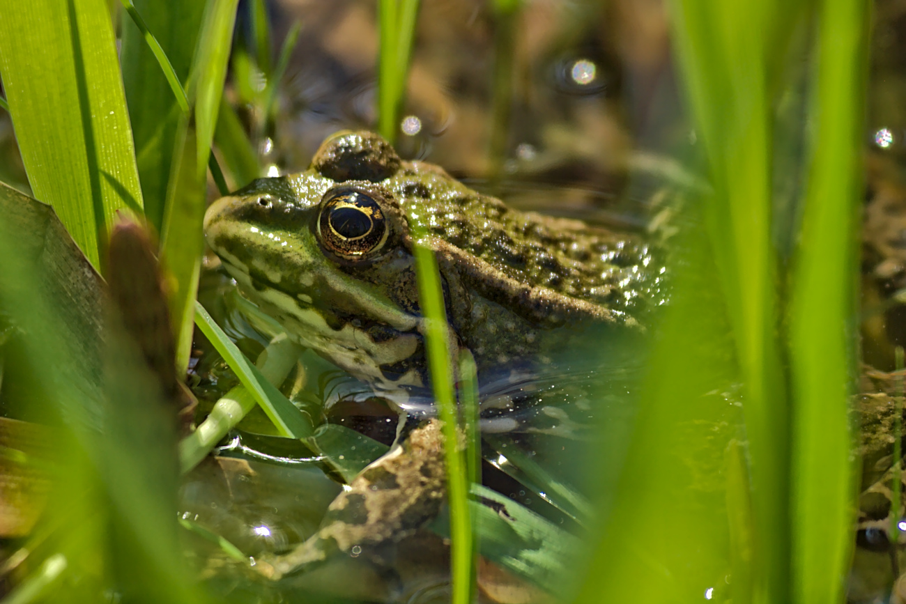 Kliknij obrazek, aby uzyskać większą wersję

Nazwa:	P4163196bp.jpg
Wyświetleń:	265
Rozmiar:	429,2 KB
ID:	171678