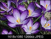 Kliknij obrazek, aby uzyskać większą wersję

Nazwa:	P3280016.JPG
Wyświetleń:	91
Rozmiar:	1,24 MB
ID:	172269