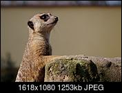 Kliknij obrazek, aby uzyskać większą wersję

Nazwa:	P3280029.JPG
Wyświetleń:	91
Rozmiar:	1,22 MB
ID:	172270