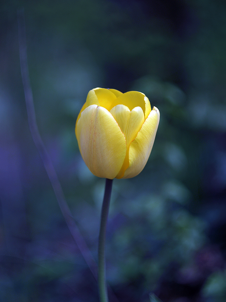 Kliknij obrazek, aby uzyskać większą wersję

Nazwa:	KW210904.jpg
Wyświetleń:	122
Rozmiar:	846,9 KB
ID:	172436