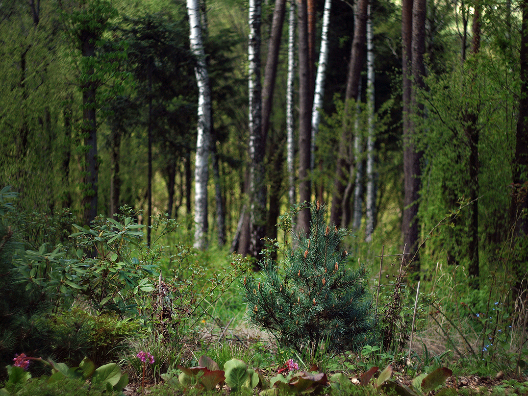 Kliknij obrazek, aby uzyskać większą wersję

Nazwa:	KW210909.jpg
Wyświetleń:	119
Rozmiar:	1,29 MB
ID:	172441