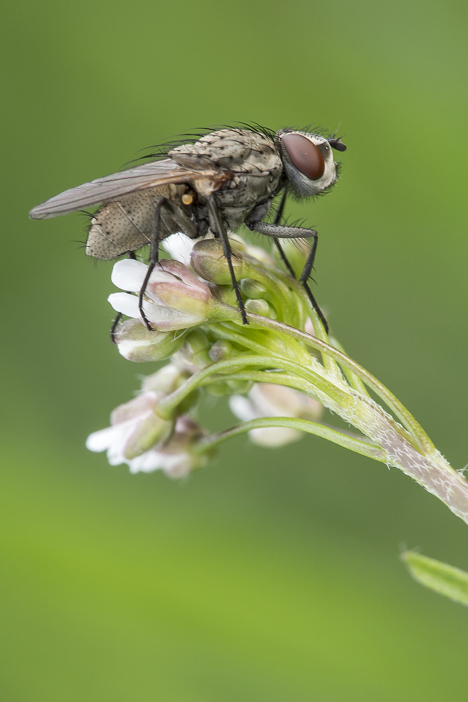 Kliknij obrazek, aby uzyskać większą wersję

Nazwa:	Y0005383.jpg
Wyświetleń:	264
Rozmiar:	264,4 KB
ID:	172506