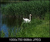 Kliknij obrazek, aby uzyskać większą wersję

Nazwa:	P6060842.jpg
Wyświetleń:	132
Rozmiar:	668,2 KB
ID:	172543