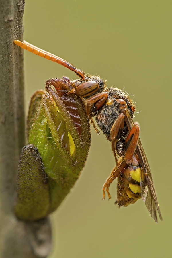 Kliknij obrazek, aby uzyskać większą wersję

Nazwa:	Y0005449.jpg
Wyświetleń:	1198
Rozmiar:	242,4 KB
ID:	172650