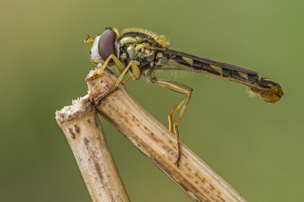 Kliknij obrazek, aby uzyskać większą wersję

Nazwa:	Y0005478a.jpg
Wyświetleń:	1188
Rozmiar:	261,9 KB
ID:	172651