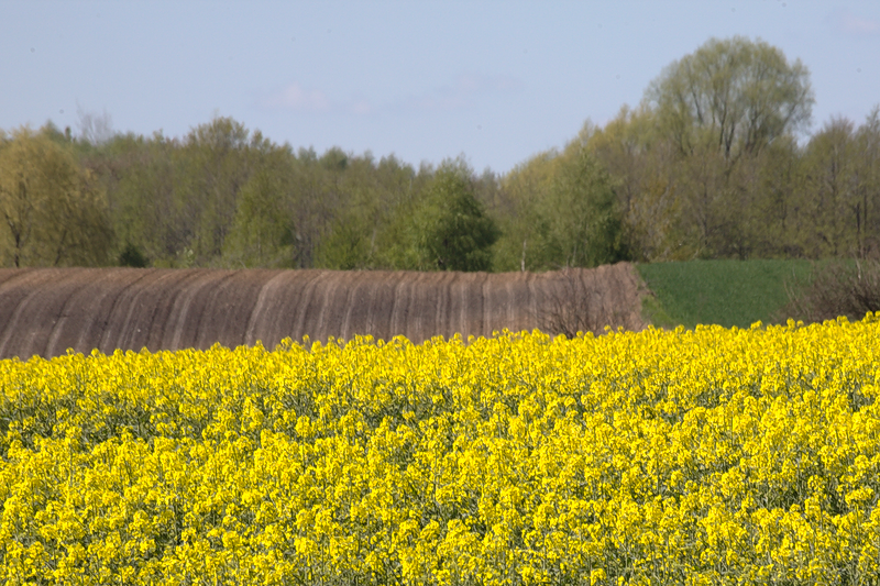 Kliknij obrazek, aby uzyskać większą wersję

Nazwa:	sk_10.png
Wyświetleń:	95
Rozmiar:	781,9 KB
ID:	172796