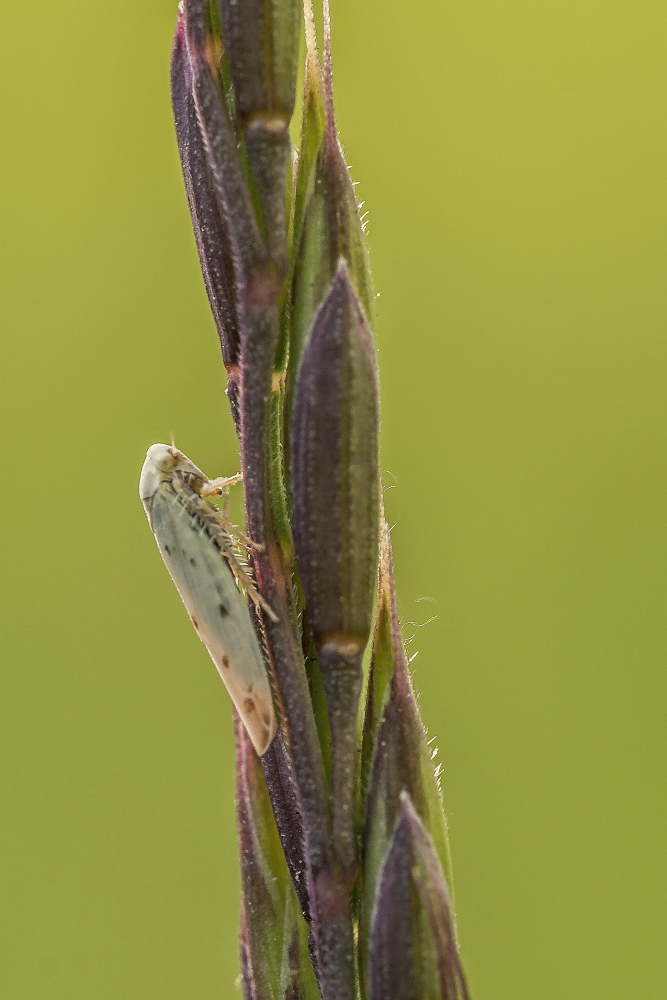 Kliknij obrazek, aby uzyskać większą wersję

Nazwa:	Y0005712.jpg
Wyświetleń:	191
Rozmiar:	281,3 KB
ID:	173063