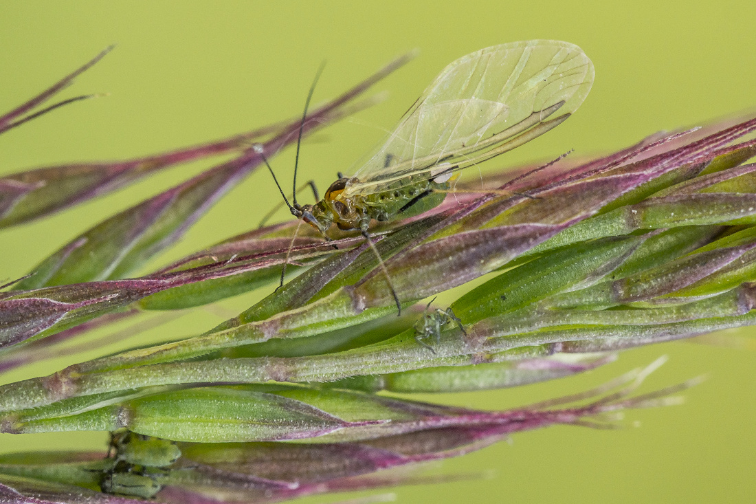 Kliknij obrazek, aby uzyskać większą wersję

Nazwa:	Y0005722.jpg
Wyświetleń:	183
Rozmiar:	389,2 KB
ID:	173064
