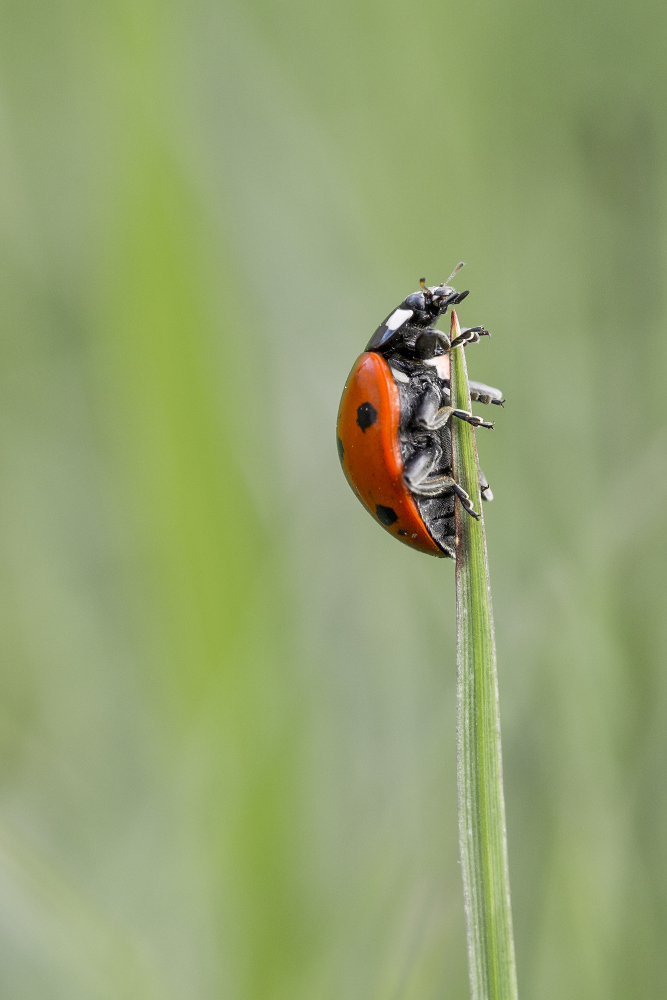 Kliknij obrazek, aby uzyskać większą wersję

Nazwa:	Y0005753.jpg
Wyświetleń:	189
Rozmiar:	271,9 KB
ID:	173065