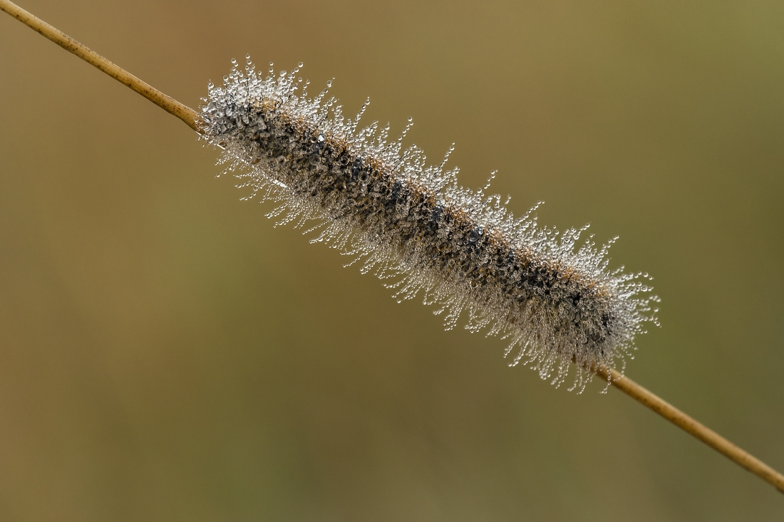 Kliknij obrazek, aby uzyskać większą wersję

Nazwa:	Y0005772.jpg
Wyświetleń:	192
Rozmiar:	301,8 KB
ID:	173183