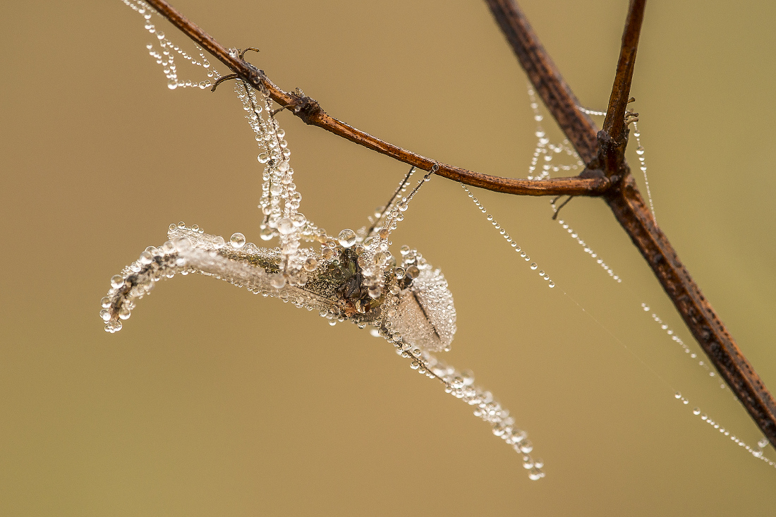 Kliknij obrazek, aby uzyskać większą wersję

Nazwa:	Y0005779.jpg
Wyświetleń:	178
Rozmiar:	413,9 KB
ID:	173184