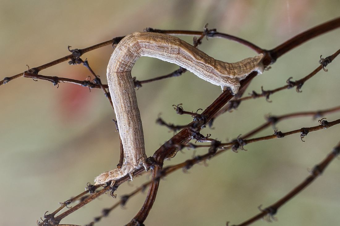 Kliknij obrazek, aby uzyskać większą wersję

Nazwa:	Y0005800.jpg
Wyświetleń:	185
Rozmiar:	433,6 KB
ID:	173186