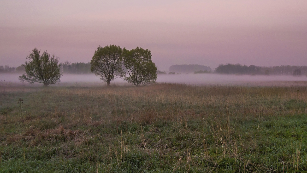 Kliknij obrazek, aby uzyskać większą wersję

Nazwa:	Y0005761.jpg
Wyświetleń:	112
Rozmiar:	348,6 KB
ID:	173190