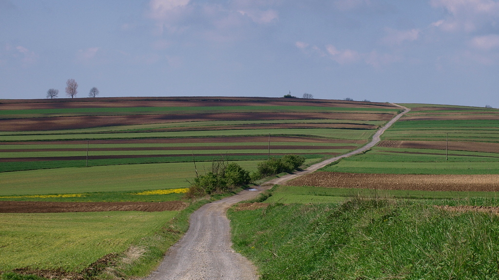 Kliknij obrazek, aby uzyskać większą wersję

Nazwa:	29042016_KK296689.1.2.jpg
Wyświetleń:	227
Rozmiar:	346,6 KB
ID:	173200