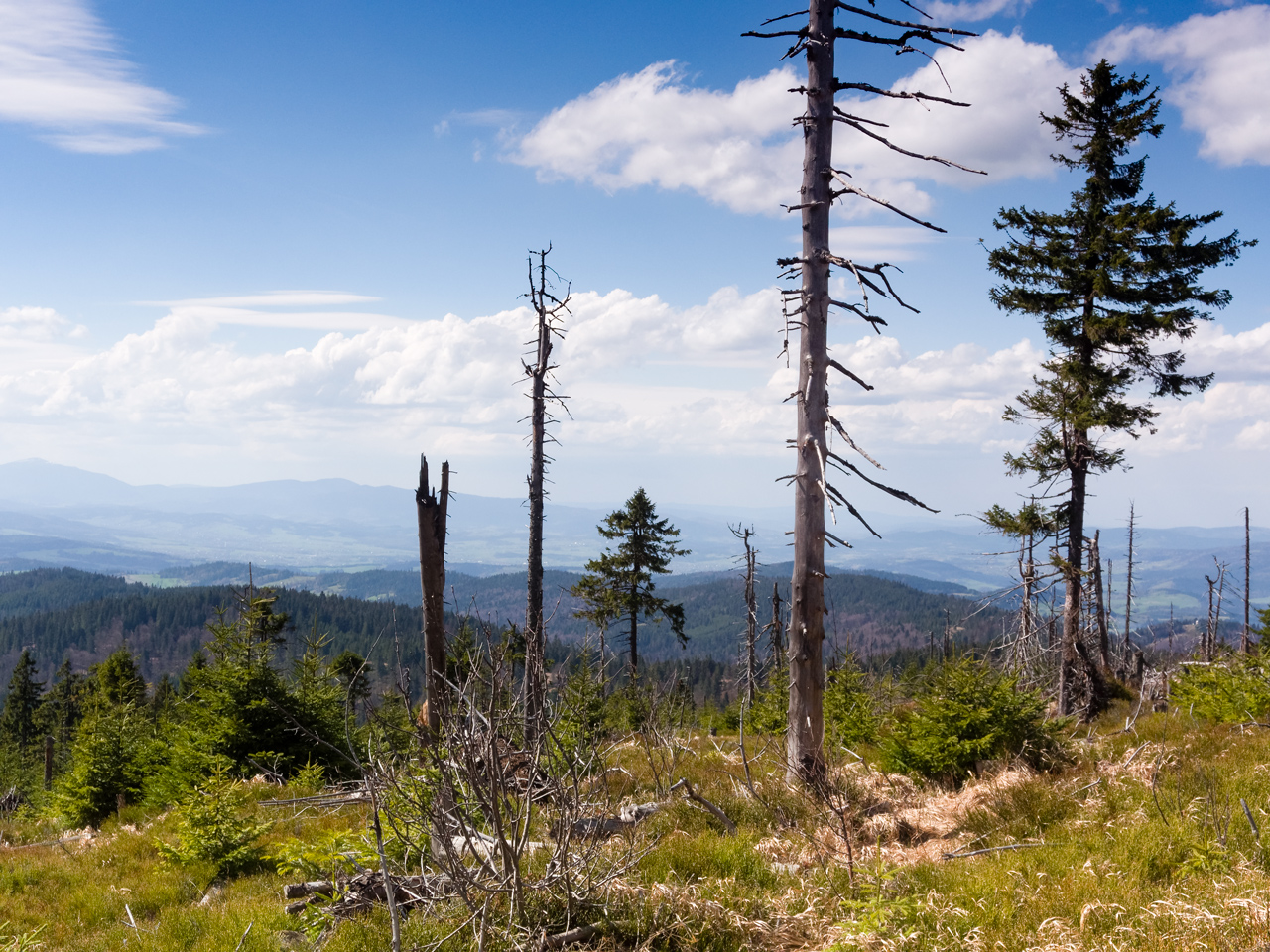 Kliknij obrazek, aby uzyskać większą wersję

Nazwa:	P4171104_DxOm.jpg
Wyświetleń:	231
Rozmiar:	776,9 KB
ID:	173221