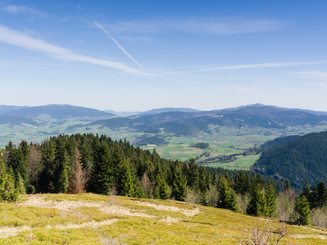 Kliknij obrazek, aby uzyskać większą wersję

Nazwa:	P4171091_DxO.jpg
Wyświetleń:	223
Rozmiar:	679,9 KB
ID:	173222