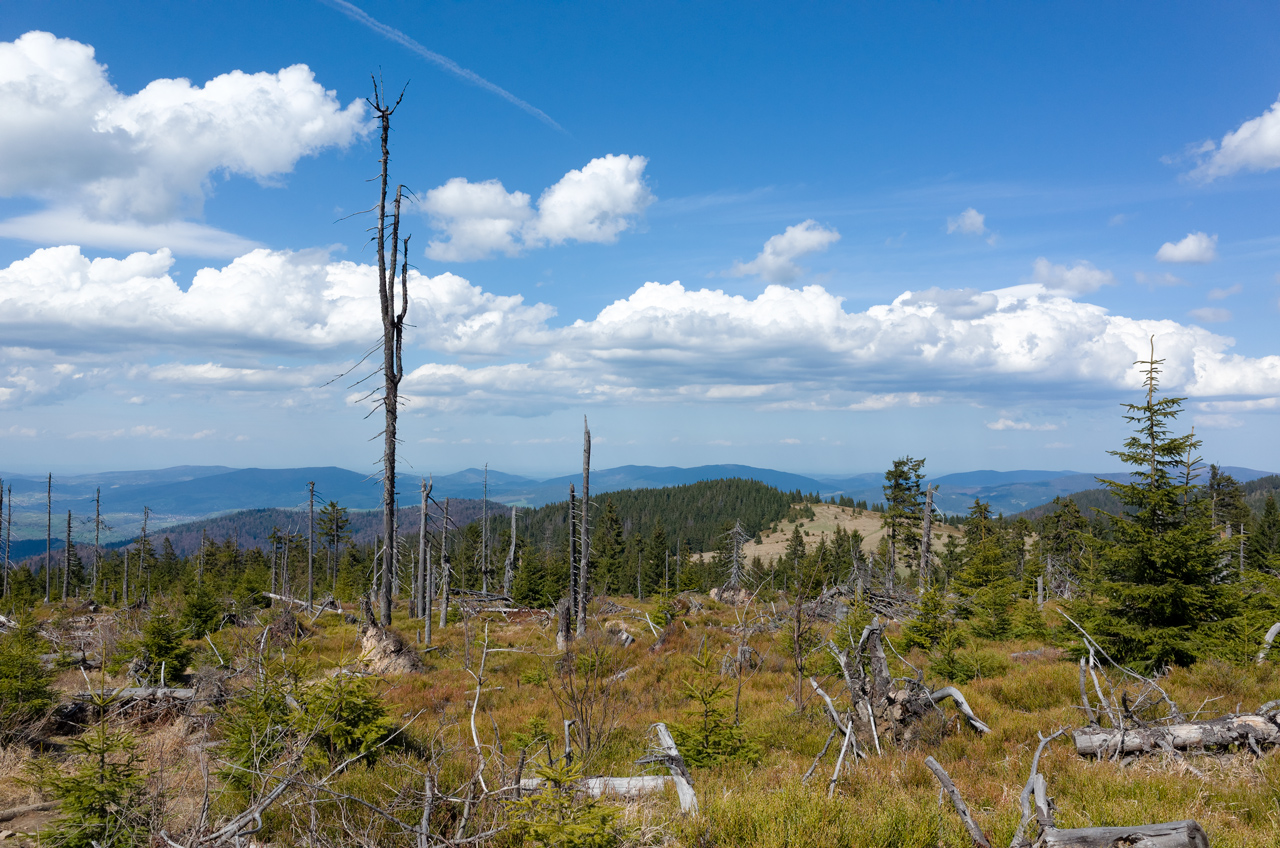 Kliknij obrazek, aby uzyskać większą wersję

Nazwa:	R0000518_DxO.jpg
Wyświetleń:	213
Rozmiar:	675,6 KB
ID:	173223