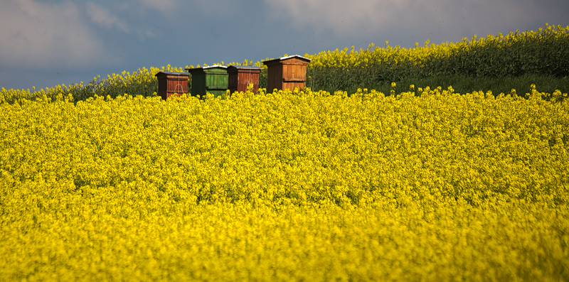 Kliknij obrazek, aby uzyskać większą wersję

Nazwa:	3_rzep.png
Wyświetleń:	118
Rozmiar:	551,7 KB
ID:	173245