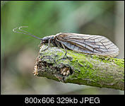 Kliknij obrazek, aby uzyskać większą wersję

Nazwa:	P5010009.jpg
Wyświetleń:	50
Rozmiar:	328,9 KB
ID:	173251