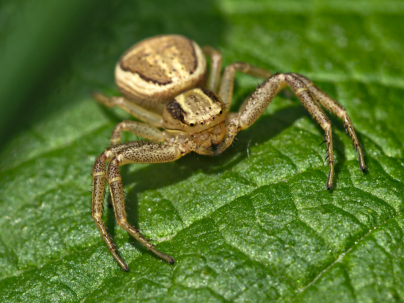 Kliknij obrazek, aby uzyskać większą wersję

Nazwa:	P5030085bp.jpg
Wyświetleń:	279
Rozmiar:	465,5 KB
ID:	173526