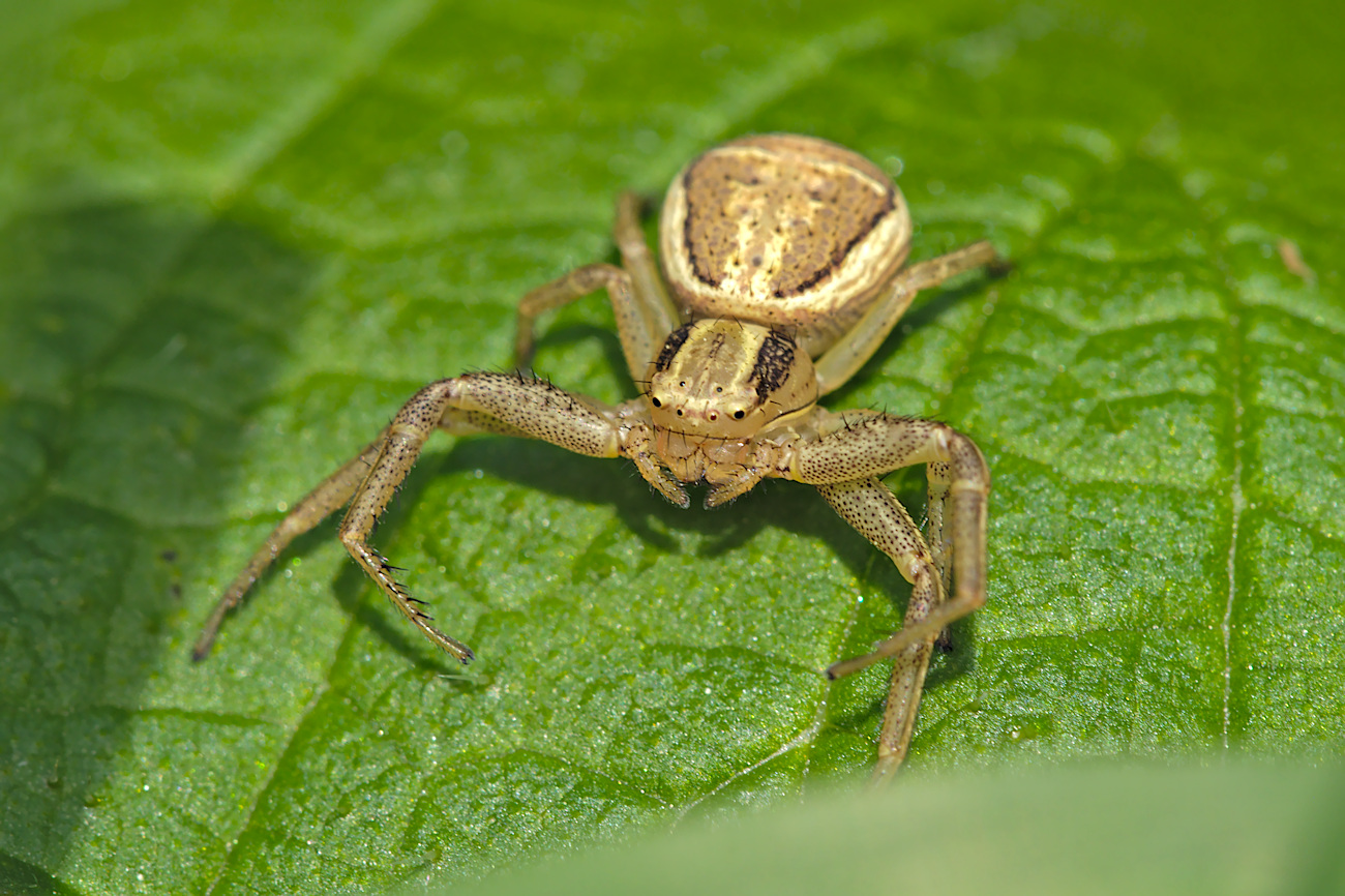 Kliknij obrazek, aby uzyskać większą wersję

Nazwa:	P5030062bp.jpg
Wyświetleń:	269
Rozmiar:	470,3 KB
ID:	173527