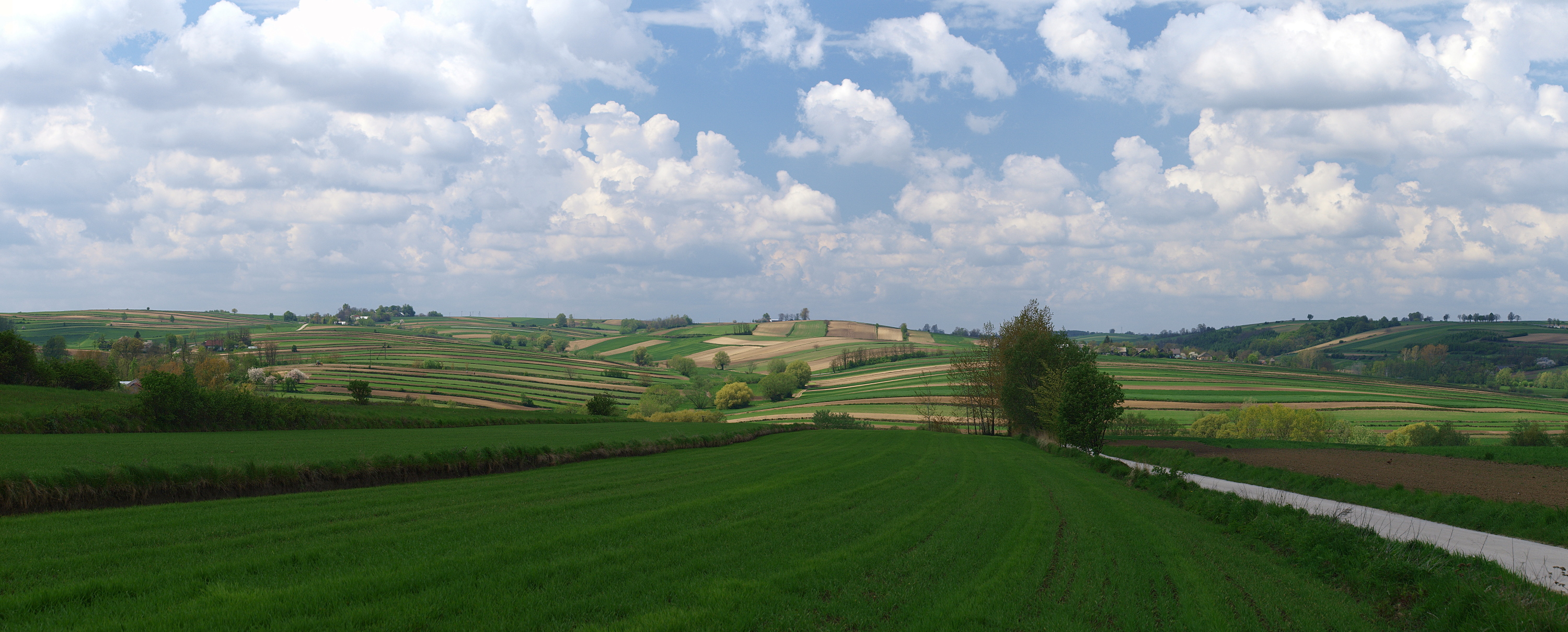 Kliknij obrazek, aby uzyskać większą wersję

Nazwa:	05052016_KK056796._stitch.1.jpg
Wyświetleń:	165
Rozmiar:	1,71 MB
ID:	173755