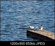 Kliknij obrazek, aby uzyskać większą wersję

Nazwa:	P5050134.JPG
Wyświetleń:	292
Rozmiar:	652,7 KB
ID:	173763