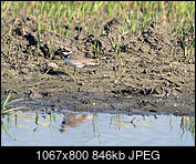 Kliknij obrazek, aby uzyskać większą wersję

Nazwa:	_5070071.jpg
Wyświetleń:	80
Rozmiar:	846,1 KB
ID:	173936