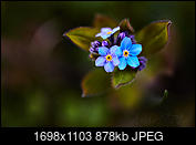 Kliknij obrazek, aby uzyskać większą wersję

Nazwa:	IMG_5643.jpg
Wyświetleń:	42
Rozmiar:	877,6 KB
ID:	174012