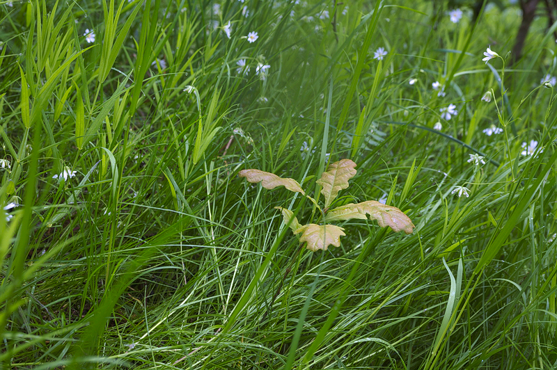 Kliknij obrazek, aby uzyskać większą wersję

Nazwa:	z_rana_1.png
Wyświetleń:	135
Rozmiar:	914,7 KB
ID:	174097