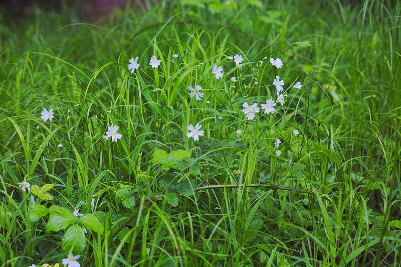 Kliknij obrazek, aby uzyskać większą wersję

Nazwa:	z_Rana_2.png
Wyświetleń:	143
Rozmiar:	886,9 KB
ID:	174098