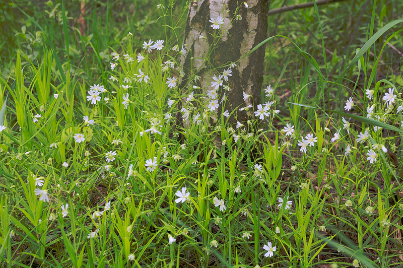 Kliknij obrazek, aby uzyskać większą wersję

Nazwa:	Z_rana_3.png
Wyświetleń:	142
Rozmiar:	943,2 KB
ID:	174099