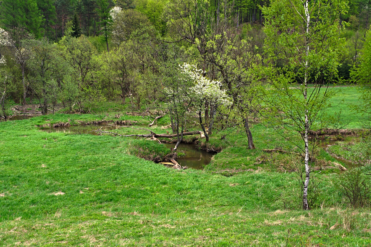 Kliknij obrazek, aby uzyskać większą wersję

Nazwa:	P5070268bp.jpg
Wyświetleń:	470
Rozmiar:	536,1 KB
ID:	174104
