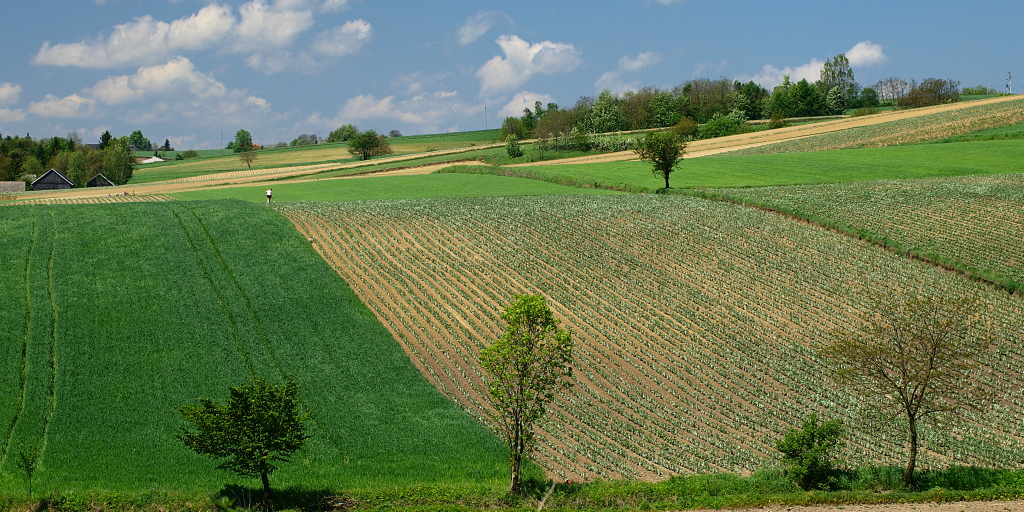 Kliknij obrazek, aby uzyskać większą wersję

Nazwa:	10052016_KK106894.1.1.jpg
Wyświetleń:	160
Rozmiar:	476,6 KB
ID:	174179